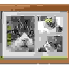 Maxi Frame